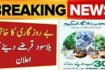 Punjab Rozgar Scheme