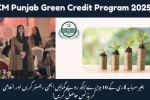 CM Punjab Green Credit Program