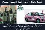 Government to Launch Pink Taxi Service