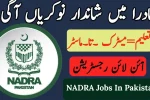 NADRA Jobs In Pakistan Apply